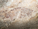 세계에서 가장 오래된 동굴벽화?···‘5만1200년’ 전 그린 인도네시아 돼지