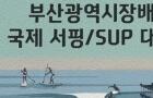 서핑 애호가들, 송정해수욕장으로 오라…부산국제서핑대회 29일 개막